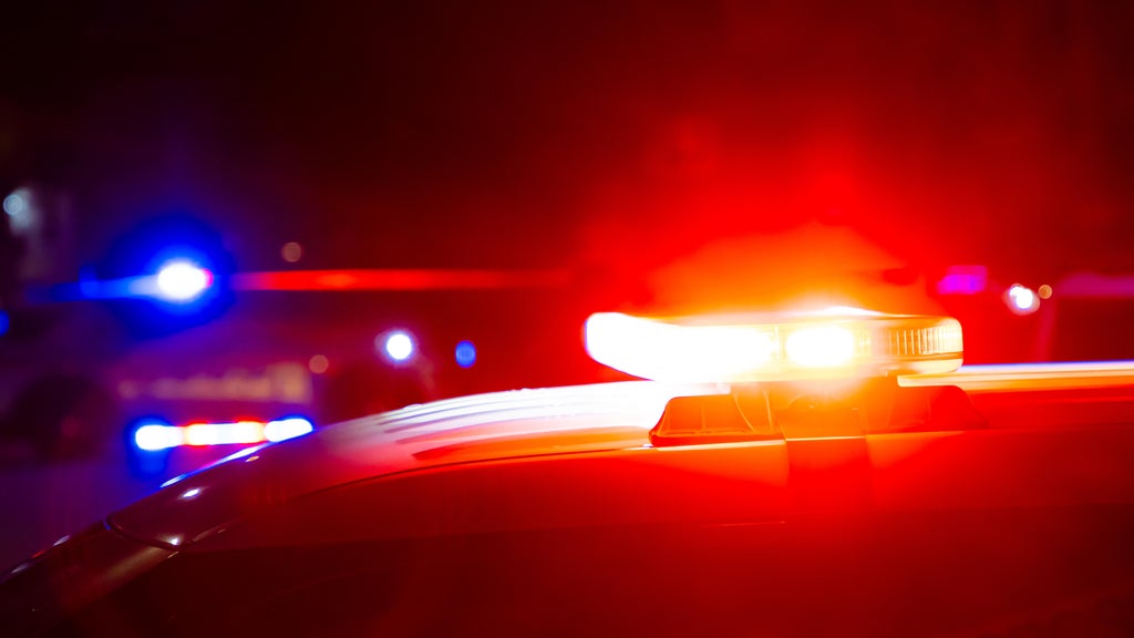 Driver killed in head-on collision with semi in central Minnesota — Brooklyn Center Sports news