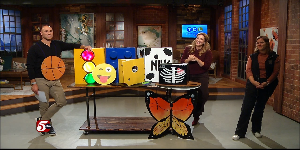 Halloween “Boxtumes” — KSTP 5 — Gopher