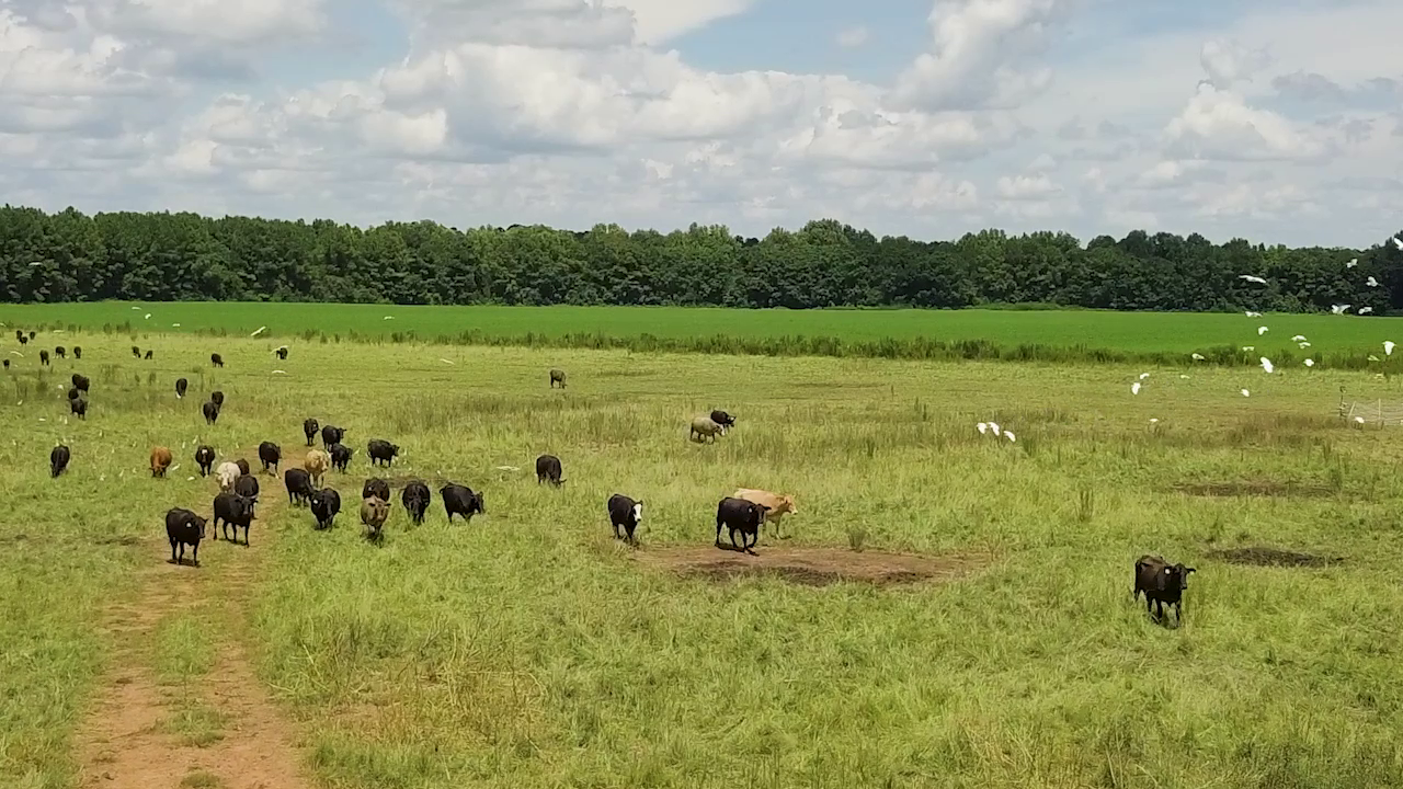 5 ON YOUR SIDE: Regenerative agriculture — Brooklyn Center Health news